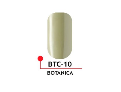 Гель-лак Formula Profi BOTANICA №010 (5 мл)