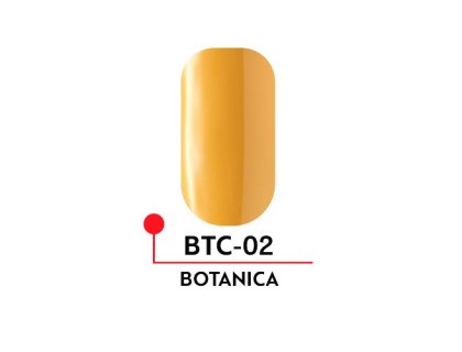 Гель-лак Formula Profi BOTANICA №02 (5 мл)